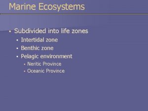 Marine Ecosystems Subdivided into life zones Intertidal zone