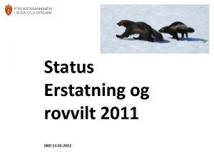 Status Erstatning og rovvilt 2011 SKEI 13 01