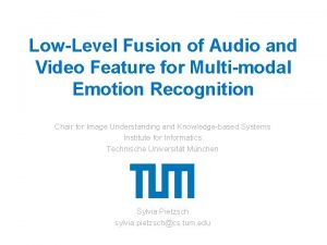 LowLevel Fusion of Audio and Video Feature for