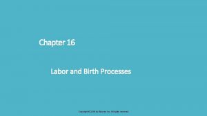 Chapter 16 Labor and Birth Processes Copyright 2016