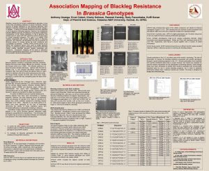 Association Mapping of Blackleg Resistance In Brassica Genotypes