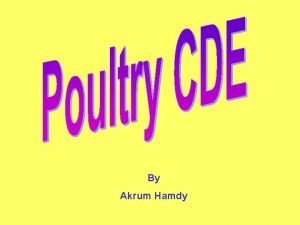 By Akrum Hamdy Eggs Poultry Operations All About