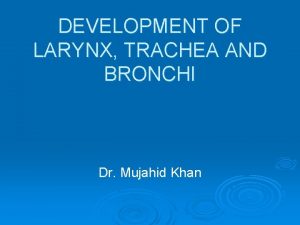 DEVELOPMENT OF LARYNX TRACHEA AND BRONCHI Dr Mujahid