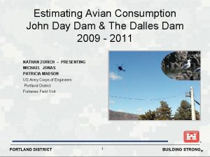 Estimating Avian Consumption John Day Dam The Dalles
