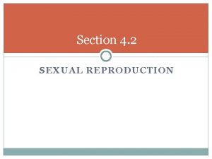 Section 4 2 SEXUAL REPRODUCTION Terminology in Reproduction