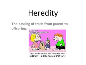 Heredity The passing of traits from parent to