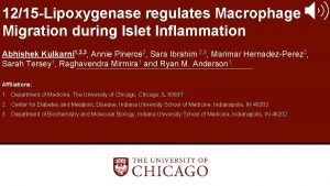 1215 Lipoxygenase regulates Macrophage Migration during Islet Inflammation