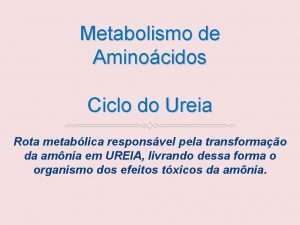Metabolismo de Aminocidos Ciclo do Ureia Rota metablica