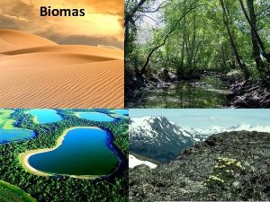 Biomas Sistemas Ecolgicos Biosfera tomo Molcula Bioma Organela