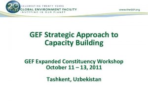 GEF Strategic Approach to Capacity Building GEF Expanded