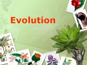 Evolution What is Evolution evolution changes in populations