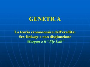 GENETICA La teoria cromosomica delleredit Sexlinkage e non