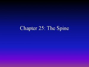 Chapter 25 The Spine Anatomy of the Spine