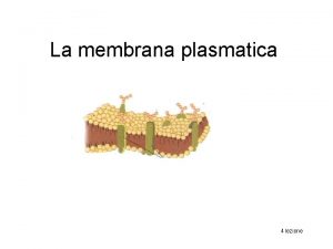La membrana plasmatica 4 lezione struttura Tutte le