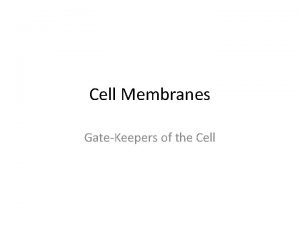 Cell Membranes GateKeepers of the Cell Membranes and