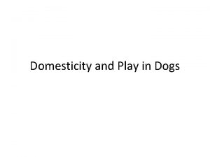 Domesticity and Play in Dogs Dogs beginning play