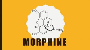 MORPHINE WHAT IS MORPHINE Morphine is the most