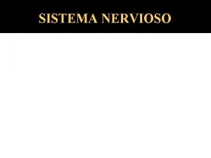 SISTEMA NERVIOSO sistema nervioso humano SISTEMA NERVIOSOS CENTRAL