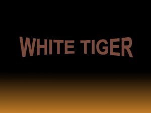 The White Tiger is a subspecies of Tiger