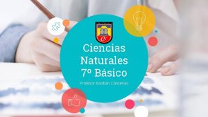 Ciencias Naturales 7 Bsico Profesor Bastin Crdenas 2