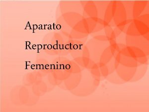 Aparato Reproductor Femenino 1 Trompas de Falopio conductos