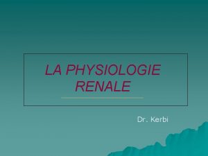 LA PHYSIOLOGIE RENALE Dr Kerbi LE DEBIT SANGUIN