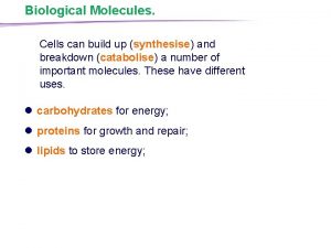 Biological Molecules Cells can build up synthesise and