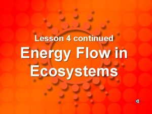 Lesson 4 continued Energy Flow in Ecosystems Energy