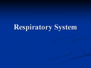 Respiratory System Respiratory system n The primary function