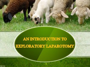 AN INTRODUCTION TO EXPLORATORY LAPAROTOMY WHAT IS AN