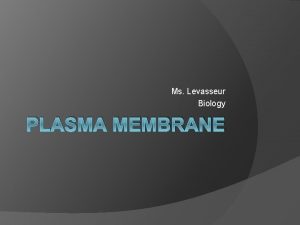 Ms Levasseur Biology PLASMA MEMBRANE Plasma Membrane aka