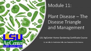 Module 11 Plant Disease The Disease Triangle and