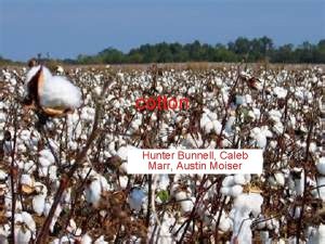 cotton Hunter Bunnell Caleb Marr Austin Moiser Equipment