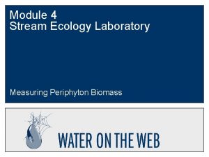 Module 4 Stream Ecology Laboratory Measuring Periphyton Biomass