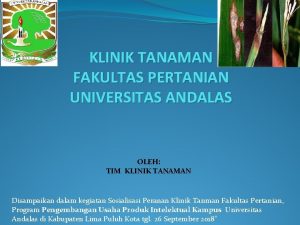 KLINIK TANAMAN FAKULTAS PERTANIAN UNIVERSITAS ANDALAS OLEH TIM