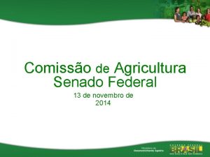 Comisso de Agricultura Senado Federal 13 de novembro