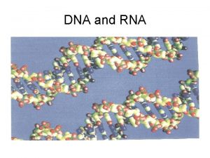 DNA and RNA DNA How do genes work