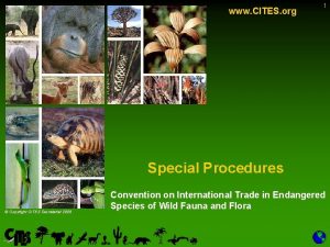 www CITES org 1 Special Procedures Copyright CITES