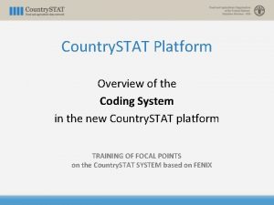 Country STAT Platform Overview of the Coding System