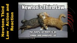 Newtons Third Law Action and Reaction Newtons First