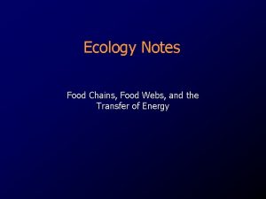 Ecology Notes Food Chains Food Webs and the