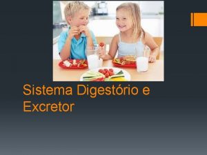 Sistema Digestrio e Excretor Sistema Digestrio O sistema