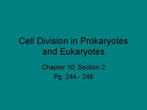 Cell Division in Prokaryotes and Eukaryotes Chapter 10