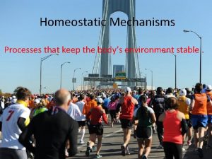 Homeostatic Mechanisms Processes that keep the bodys environment