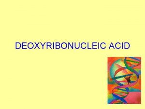 DEOXYRIBONUCLEIC ACID DNA DNAdeoxyribonucleic acid A Controls the