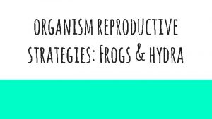 organism reproductive strategies Frogs hydra Hydra leopard frogs