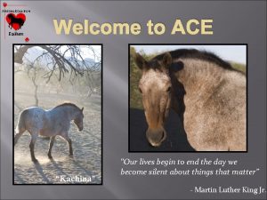 Welcome to ACE Kachina Our lives begin to