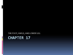 THE FOOT ANKLE AND LOWER LEG CHAPTER 17