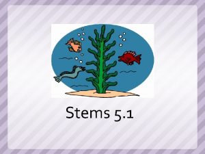Stems 5 1 1 A coroner will conduct