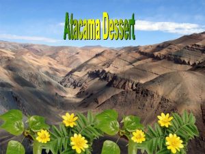 In the Atacama Desert the driest in the